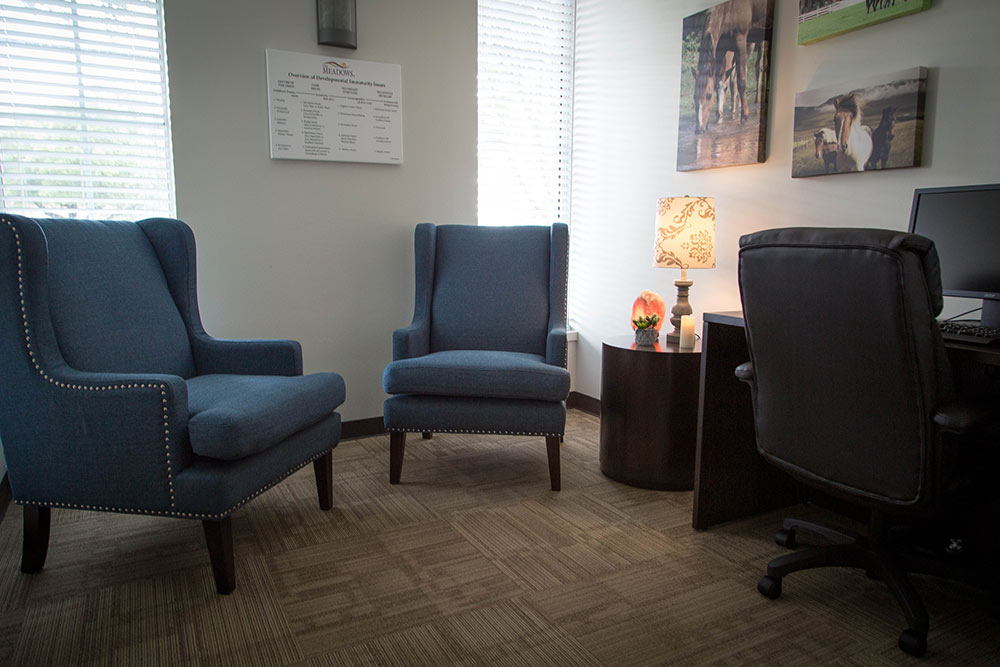 Meadows IOP Dallas -  therapist office