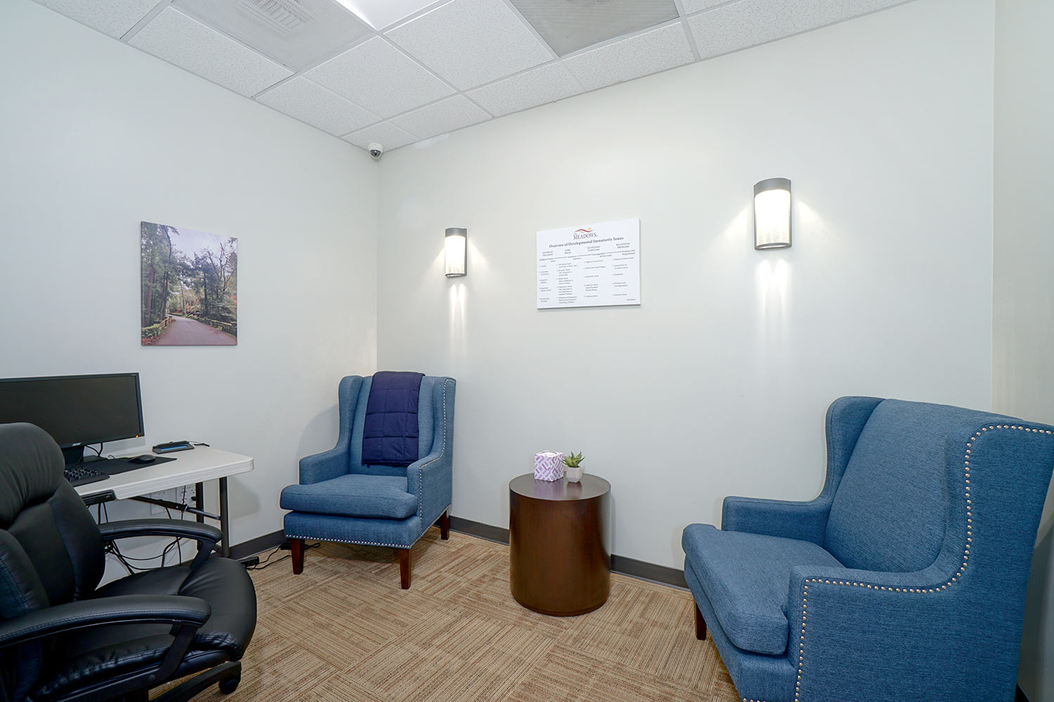 Meadows IOP Silicon Valley - Therapist  office