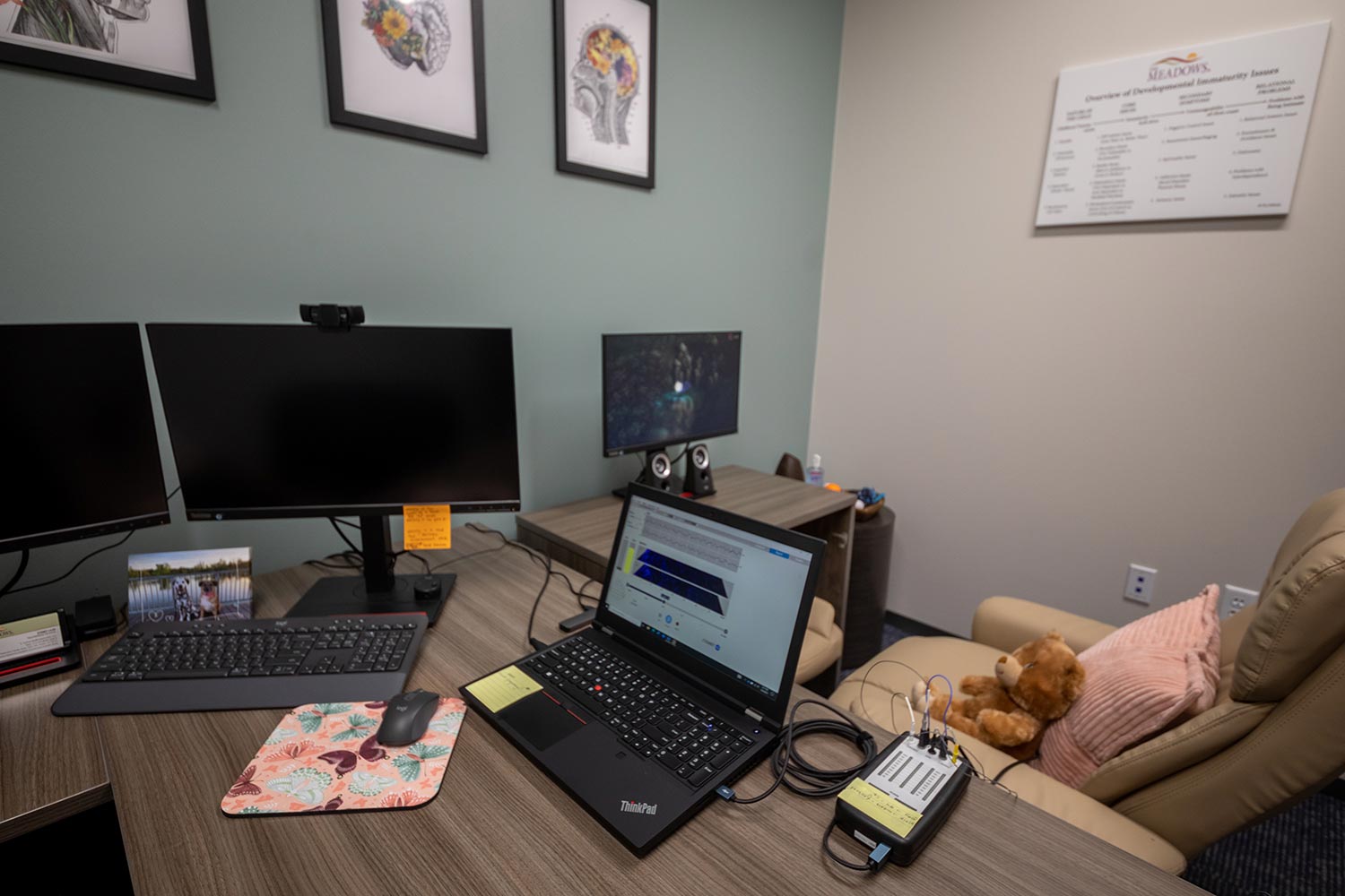 Meadows Outpatient Austin - Neurofeedback